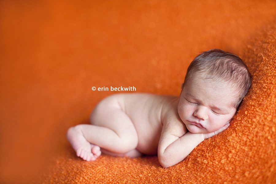 erin beckwith photography