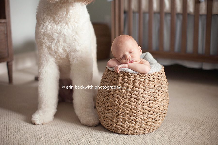 erin beckwith photography