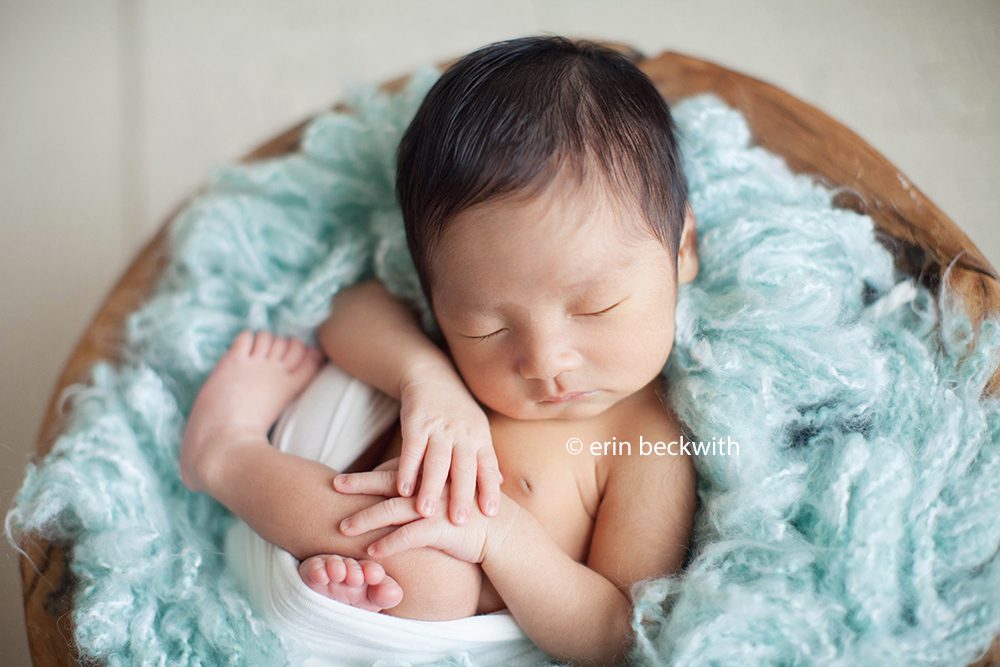 katy texas newborn photography