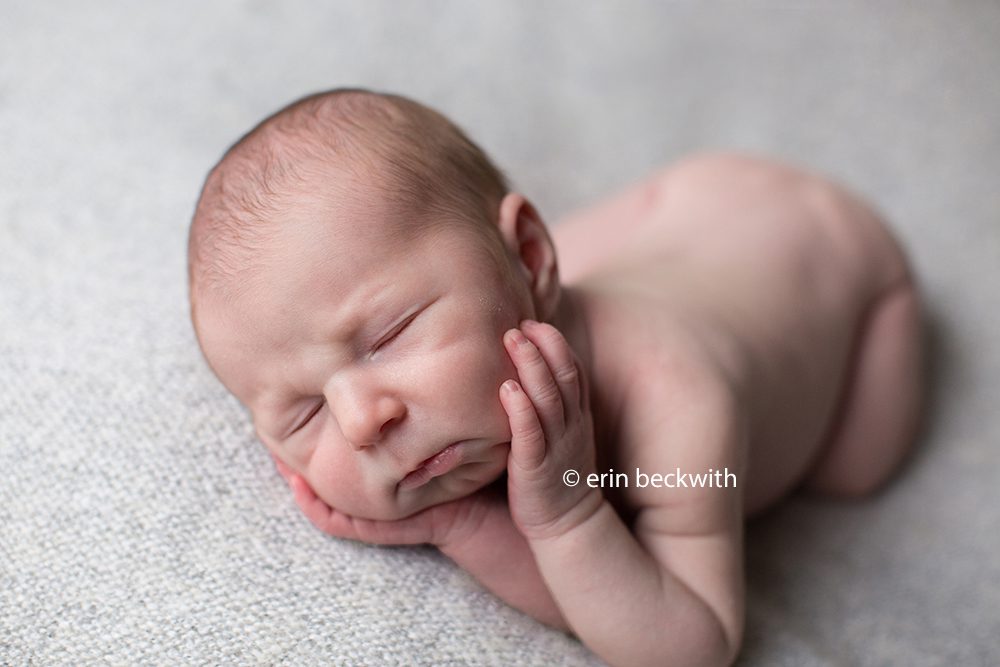 houston newborn photographer