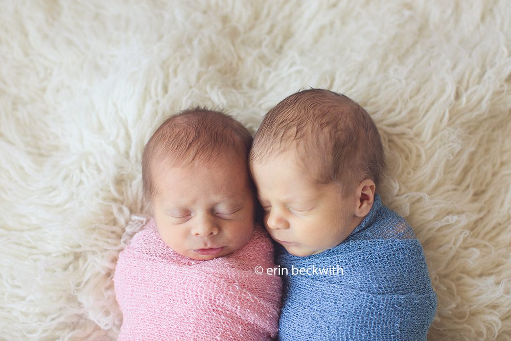 houston newborn twin photographer
