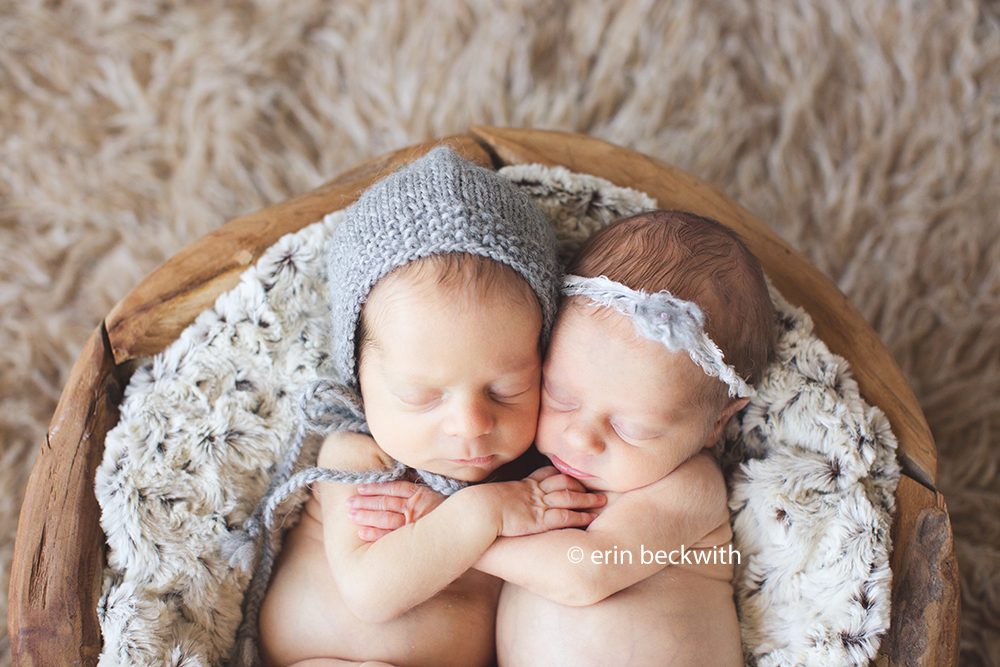 houston newborn twin photographer