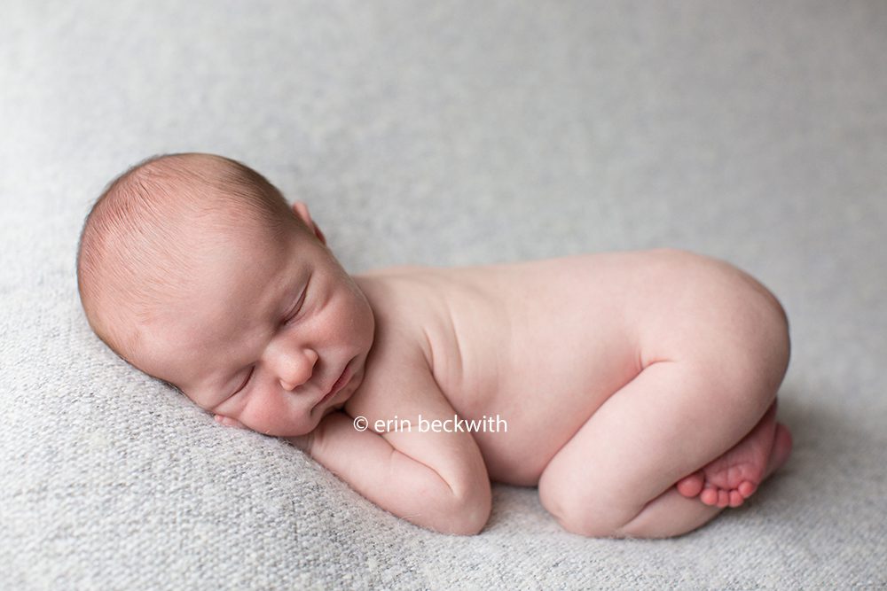 houston newborn photographer