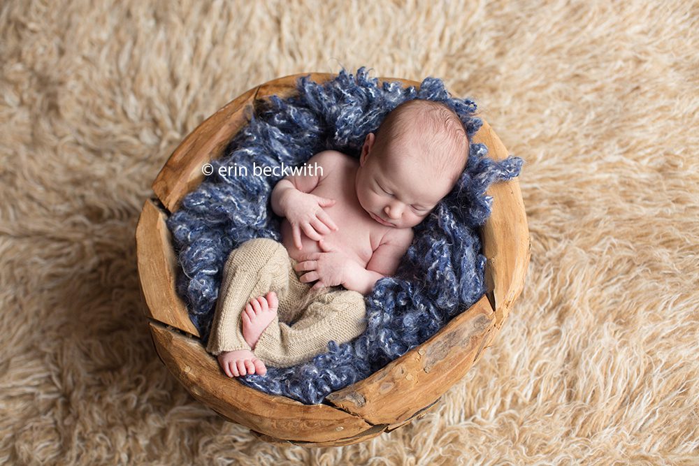 houston newborn photographer