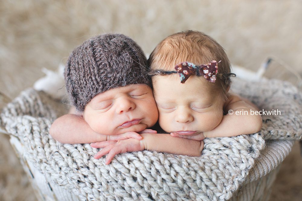 houston newborn twin photographer