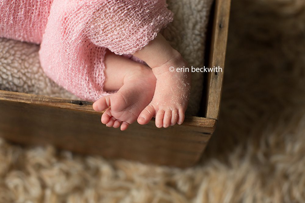 houston newborn photographer
