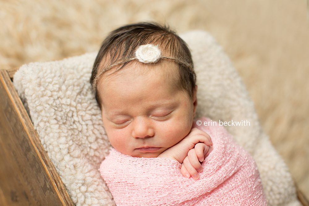houston newborn photographer
