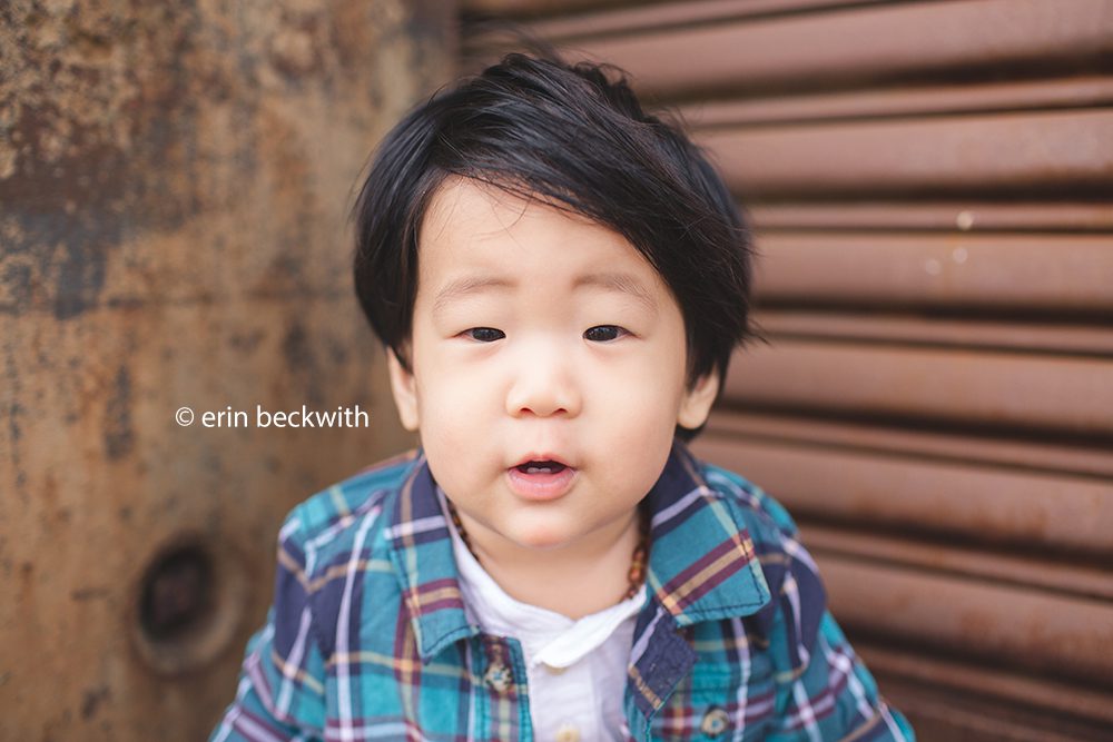houston baby photographer