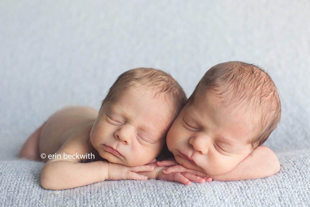 houston newborn twin photographer