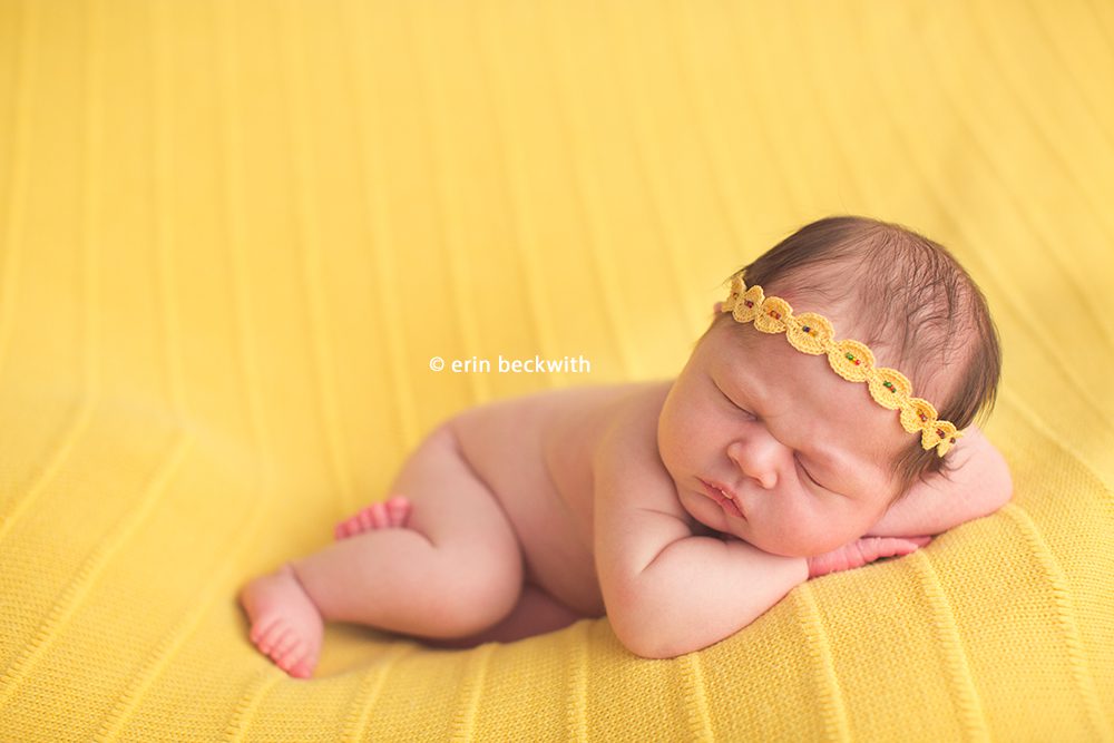 houston newborn photography