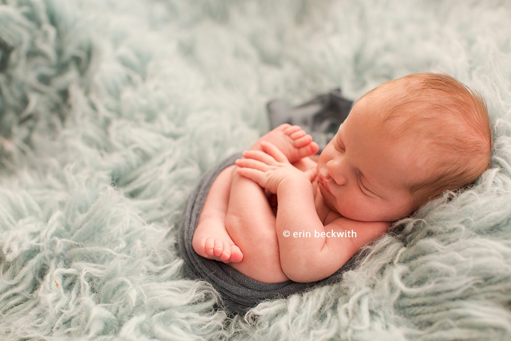 houston newborn photography