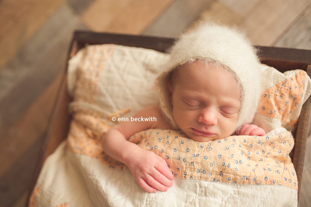houston newborn photography