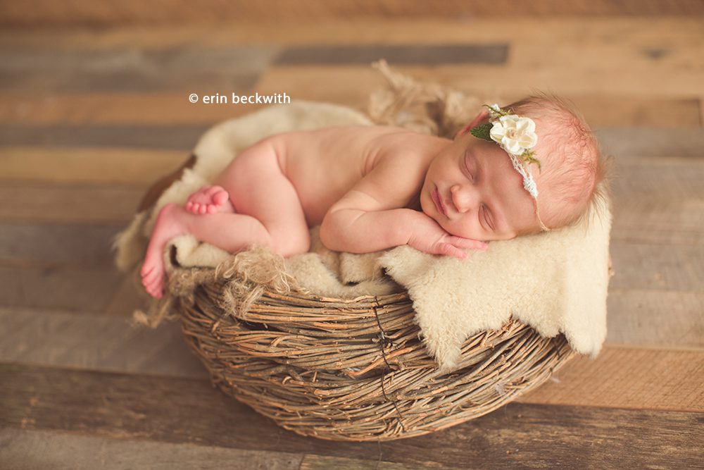 houston newborn photography