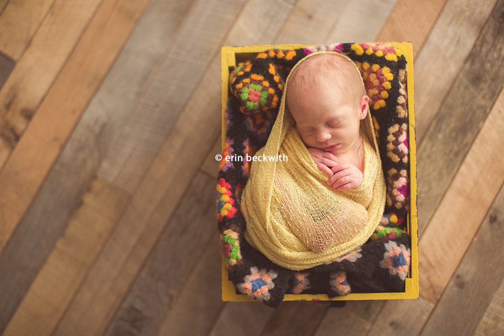 houston newborn photography