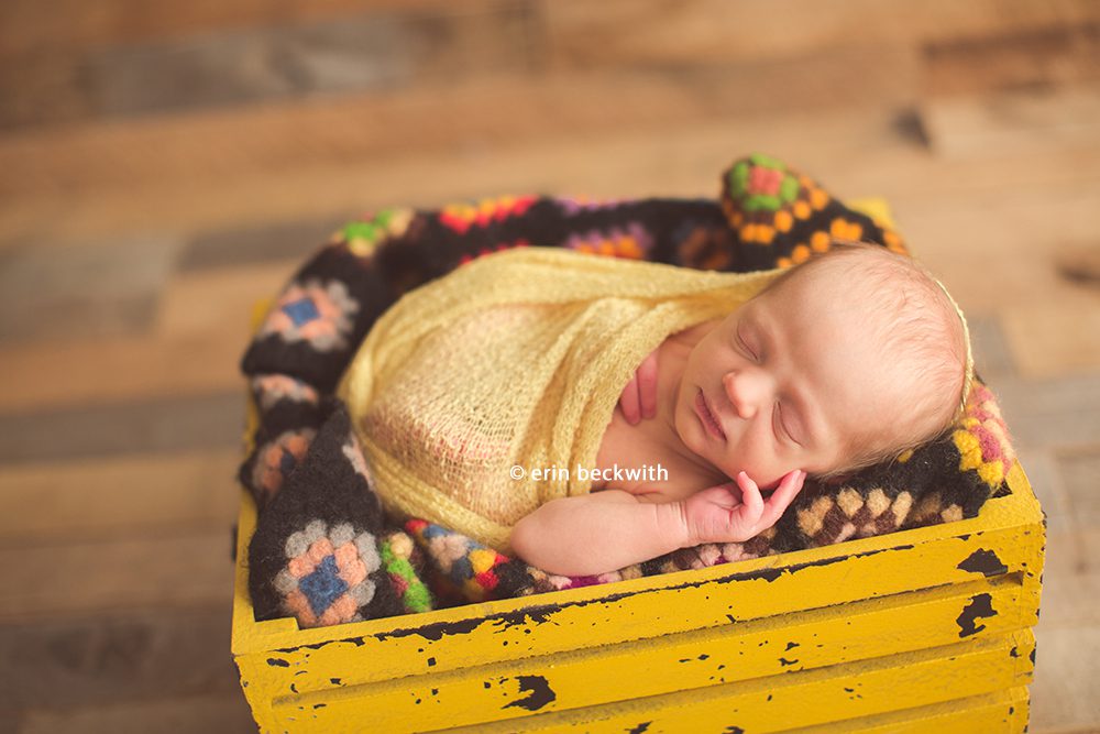 houston newborn photography