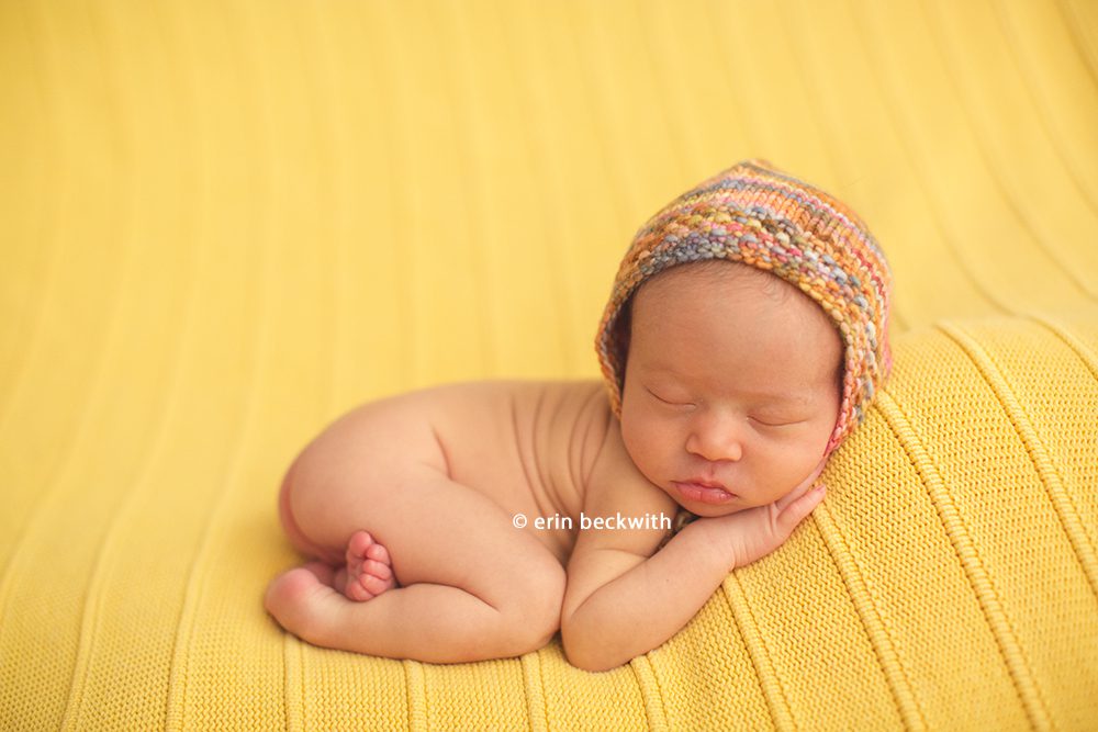 houston newborn photography