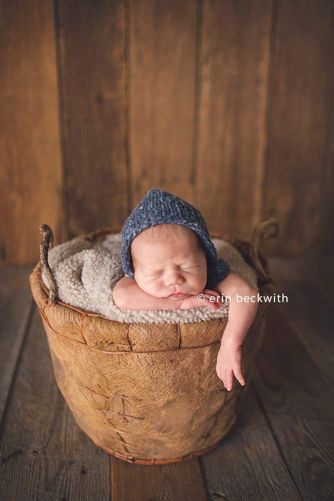 houston newborn photographer, houston studio photographer, erin beckwith photography
