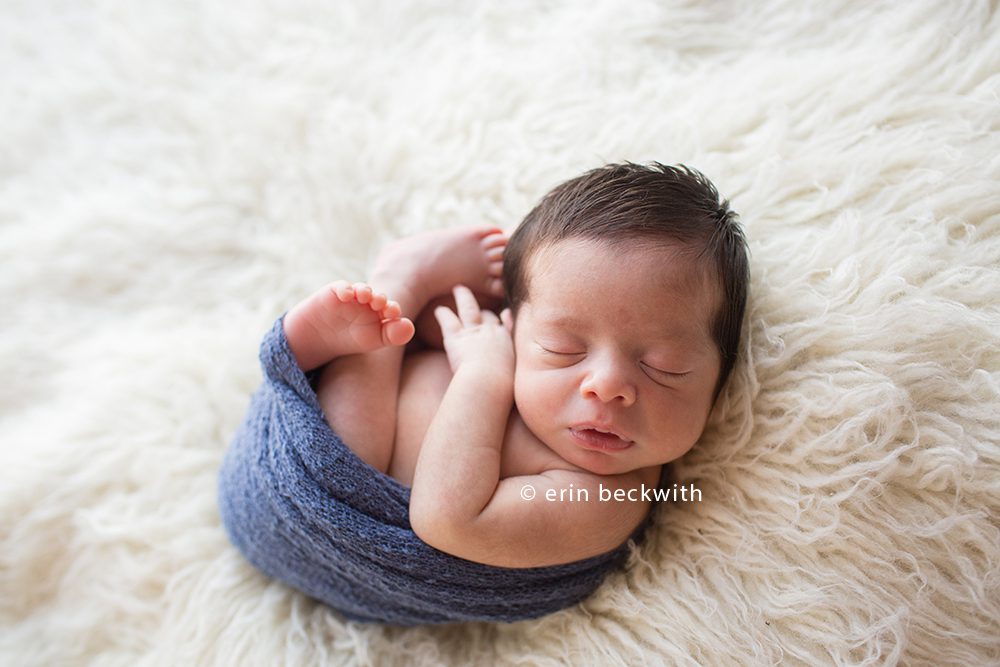 houston newborn photographer, houston studio photographer, erin beckwith photography