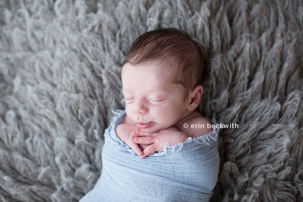 houston newborn photographer, houston studio photographer, erin beckwith photography