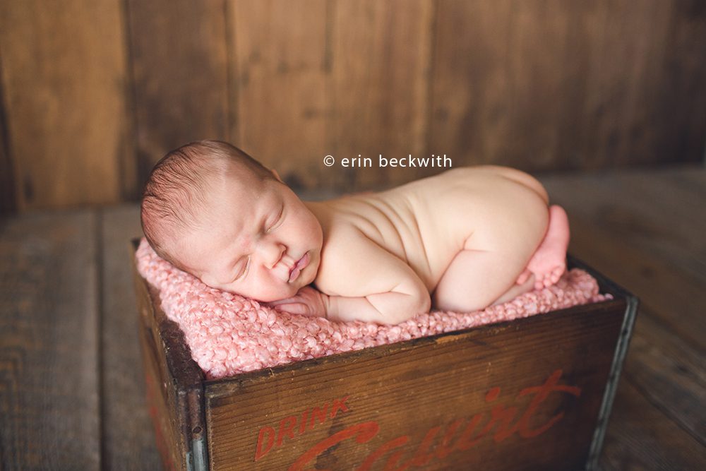 houston newborn photographer, houston studio photographer, erin beckwith photography