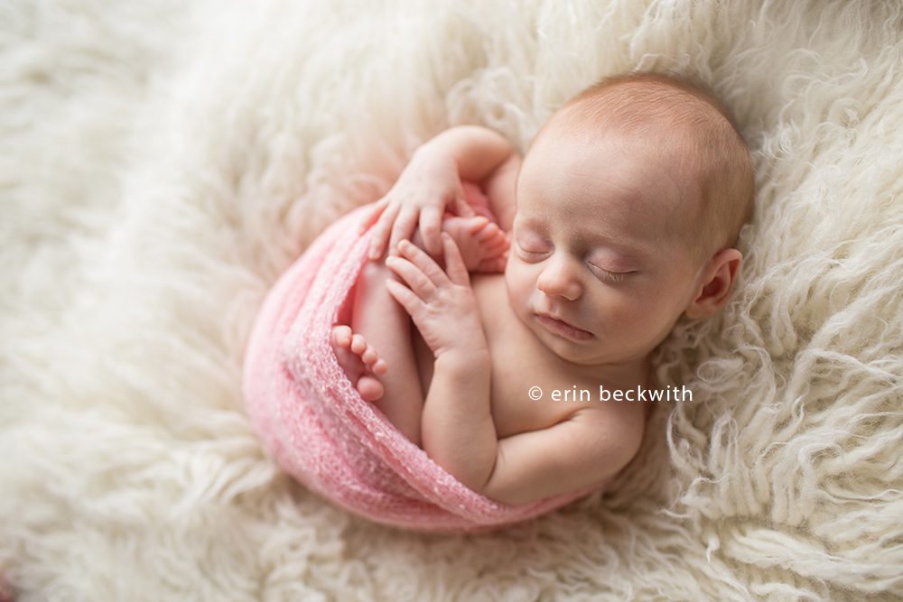 houston newborn photographer, houston studio photographer, erin beckwith photography