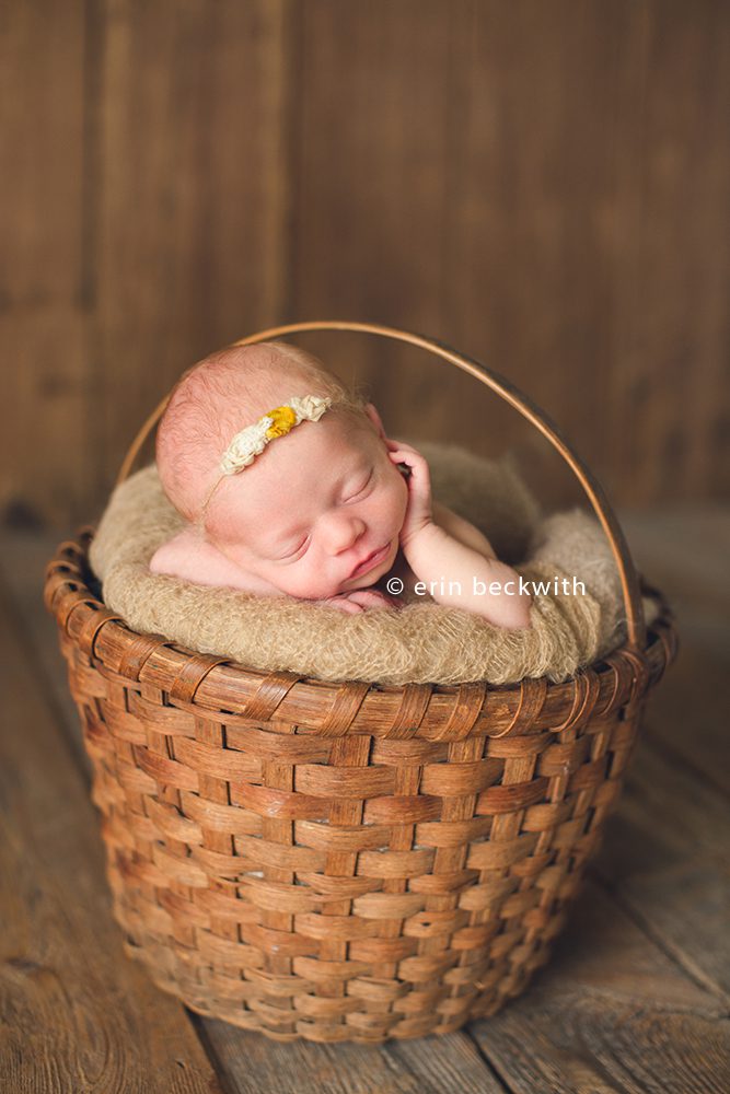 houston newborn photographer, houston studio photographer, erin beckwith photography