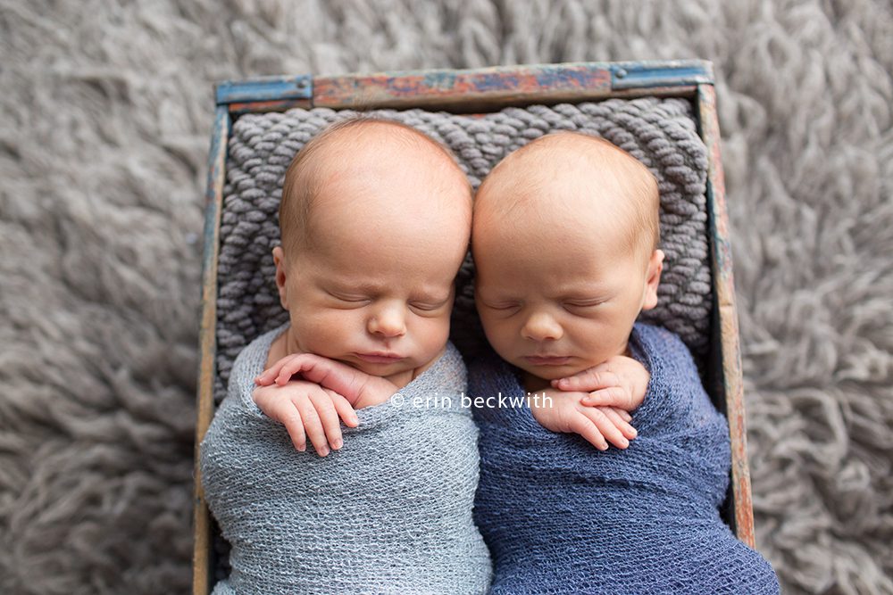 houston newborn twin photographer, erin beckwith photography