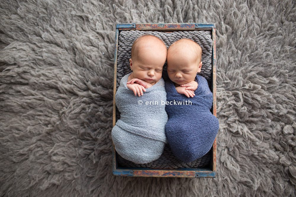 houston newborn twin photographer, erin beckwith photography