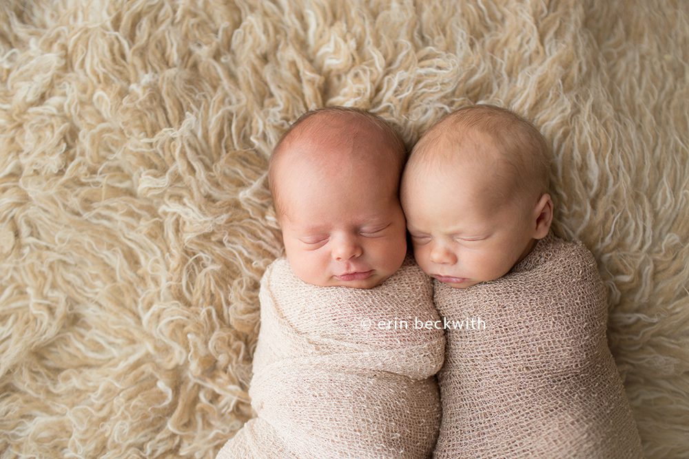 houston newborn twin photographer, erin beckwith photography