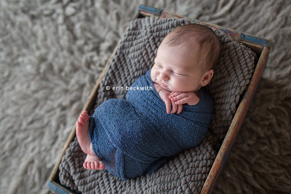 houston newborn photography, houston newborn photographer, erin beckwith photography