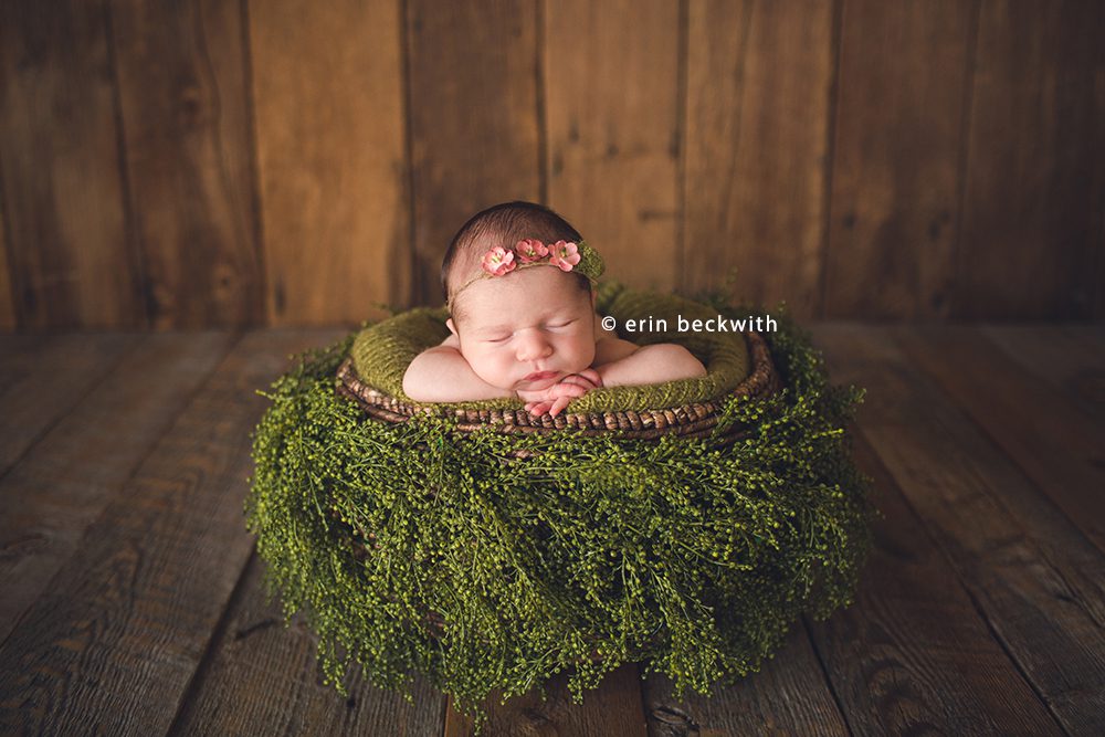 houston newborn photography, houston newborn photographer, erin beckwith photography