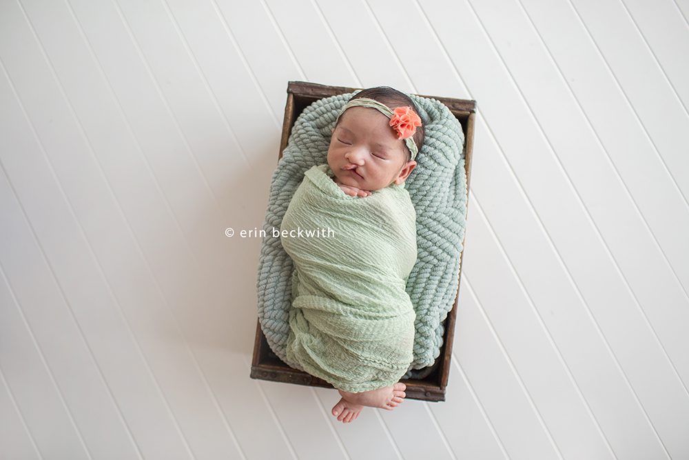 houston newborn photography, houston newborn photographer, erin beckwith photography