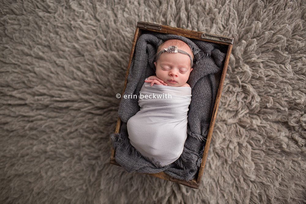 erin beckwith photography, houston newborn photographer, houston newborn photography