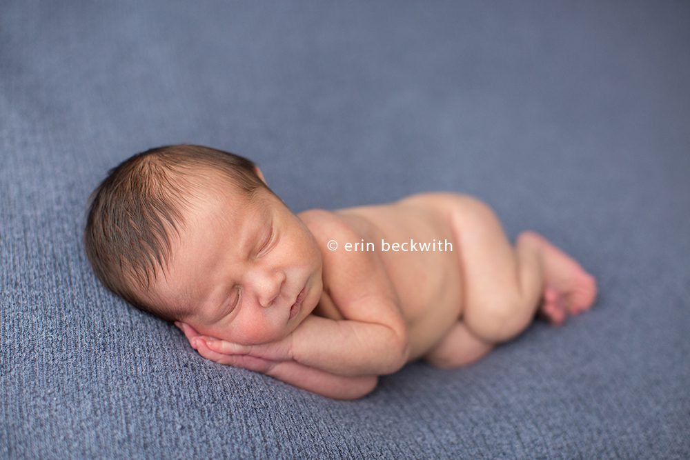 houston newborn photographer, houston newborn photography, erin beckwith photography,