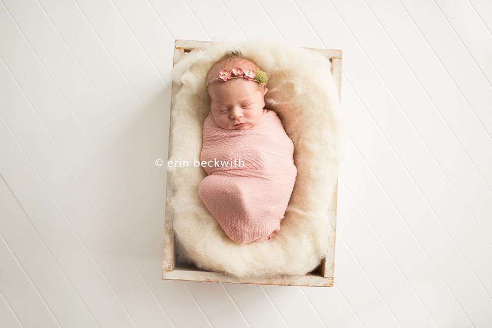 houston newborn photography, houston newborn photographer, erin beckwith photography