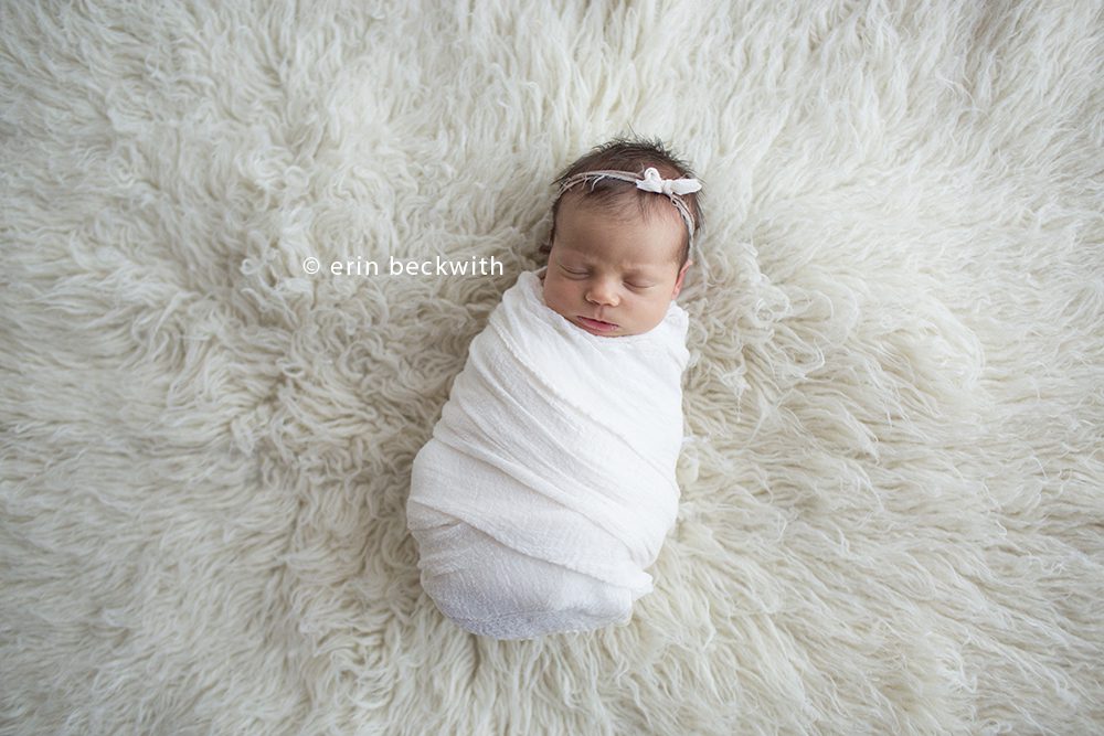 houston newborn photography, houston newborn photographer, erin beckwith photography, 