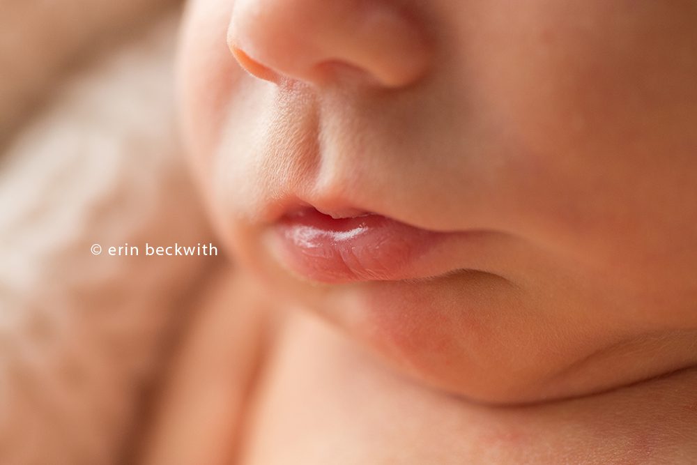 houston newborn photographer, houston newborn photography, erin beckwith photography,