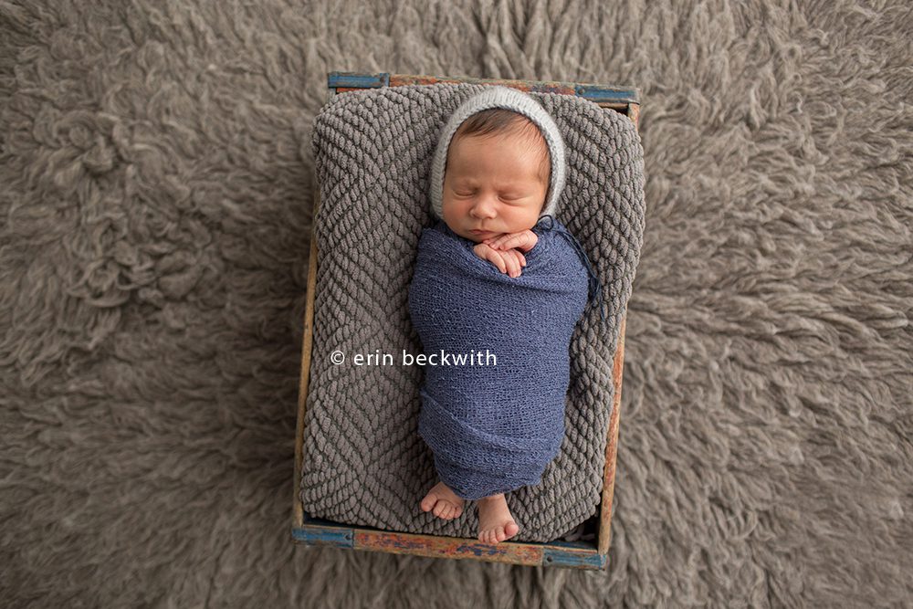 houston newborn photographer, houston newborn photography, erin beckwith photography,