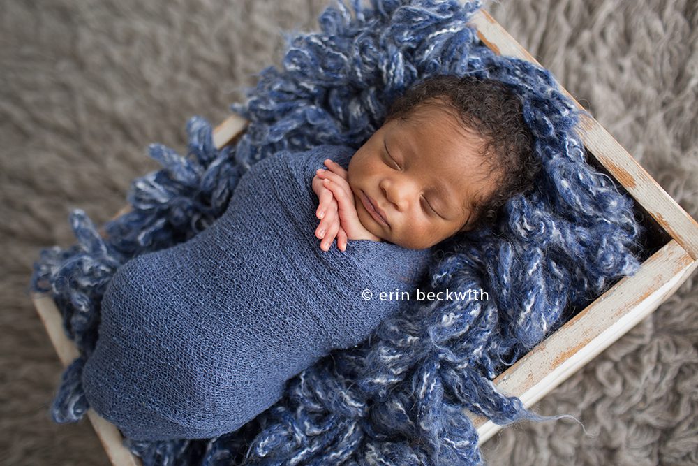 houston newborn photography, houston newborn photographer, erin beckwith photography