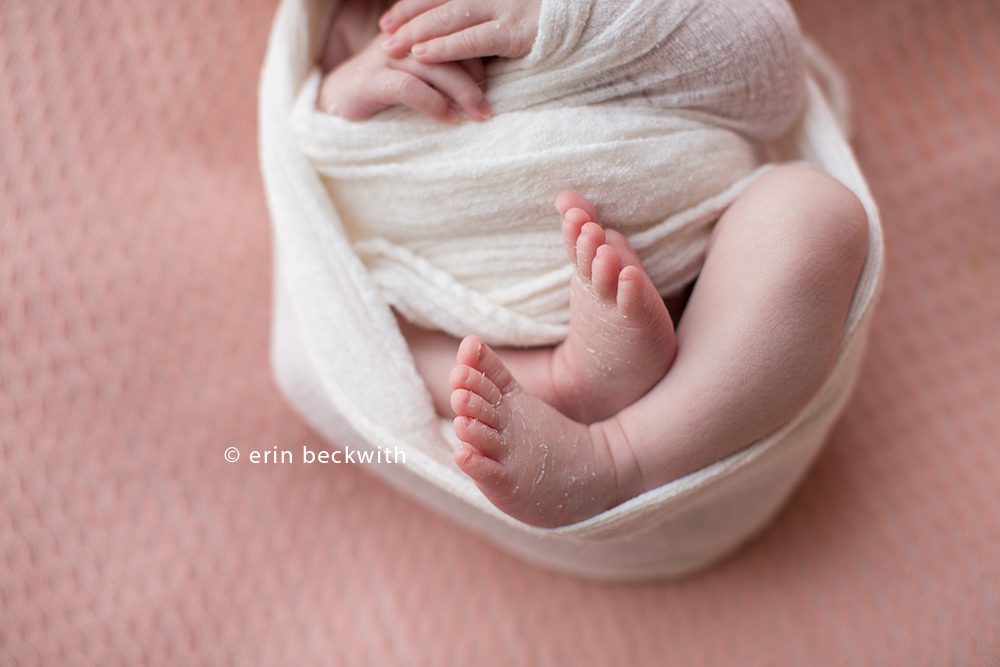 houston newborn photographer,houston newborn photography,erin beckwith photography