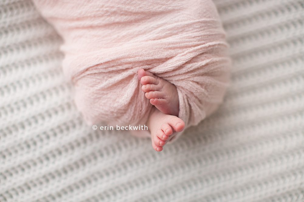 houston newborn photographer,houston newborn photography,erin beckwith photography