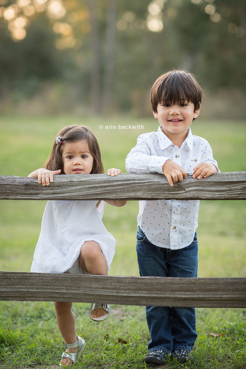 houston family photography, houston family photographer, erin beckwith photography