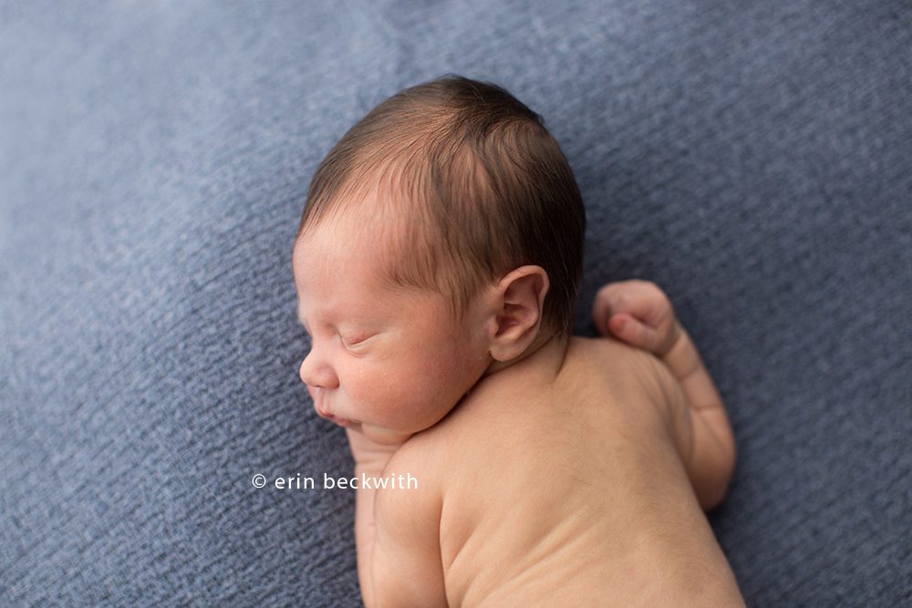 houston newborn photographer, houston newborn photography, erin beckwith photography,