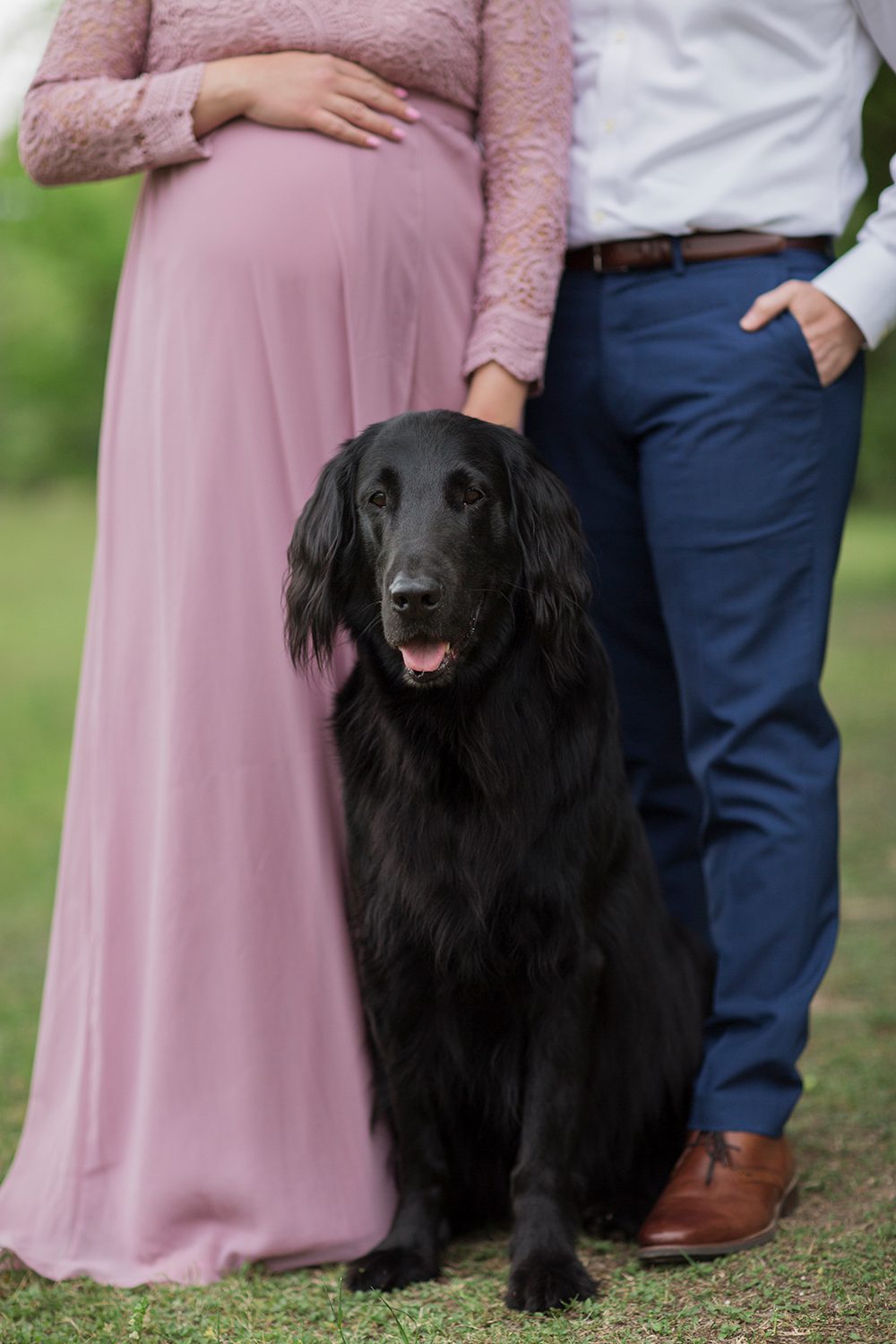 houston maternity photographer, houston maternity photography, erin beckwith photography